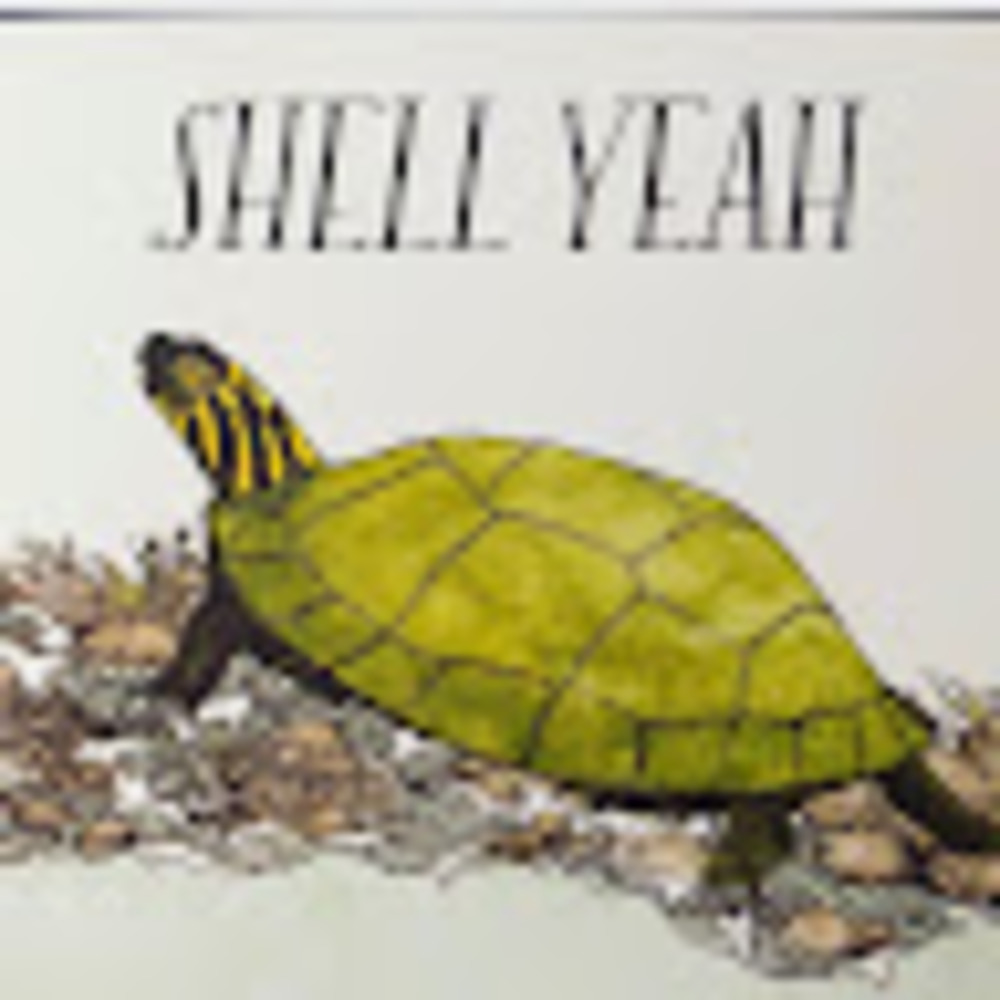 Meet your Posher, Shelly